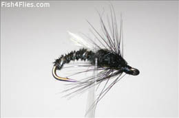 Black Adult Buzzer