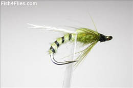Olive Adult Buzzer