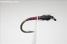 Red and Black Flashpoint