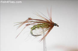 Medium Olive Hopper
