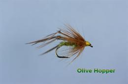 Olive Hopper