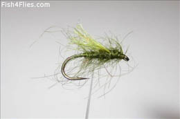 Olive Lake Bit
