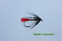 Reid's Assassin