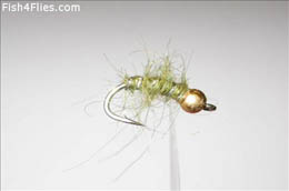 GB Mini Hare's Lug Olive