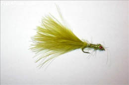Little Devil Fire Olive