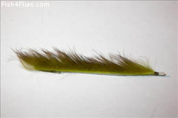 Olive Snake