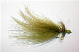 Olive Hotty