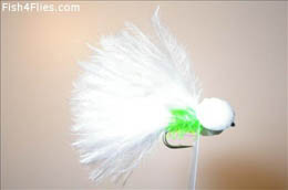 Chartreuse and White Booby