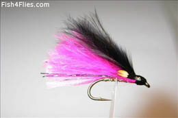 Pink Stocker JC Single