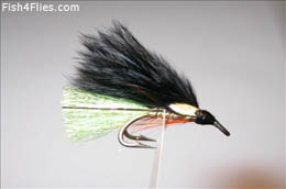 Thunderstorm Double JC