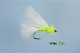 Wild Cat 