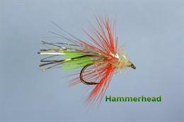 Hammerhead Single