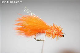 Orange Thumper
