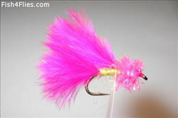 Fuschia and Lime Single
