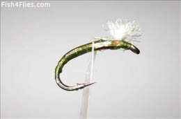 3D Olive Epoxy Buzzer