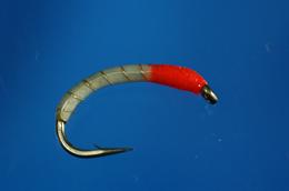  Larva and Orange