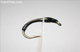 Black Pearl Buzzer