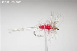 Grey Hen and Red