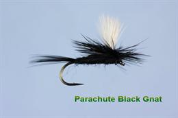 Para Black Gnat