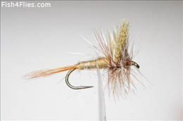 March Brown