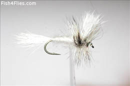 White Wulff