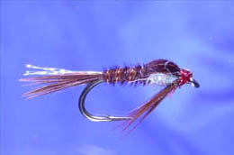 Pheasant Tail Nymph