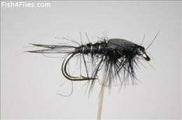 Black Weighted Nymph