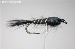GRHE Black  Weighted