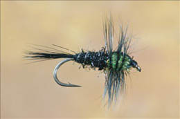 Green Montana Weighted