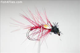 Red Holo Snatcher JC