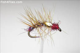 Claret Holo Snatcher JC
