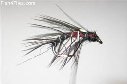 Black Holo Snatcher JC