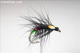 Sandy F Holo Snatcher JC