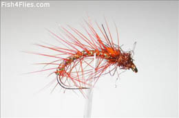 Orange-Brite Snatcher JC