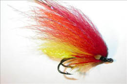 Tornado  Temple Dog JC