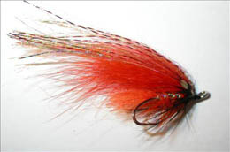 Red Sandy  Temple Dog JC
