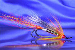 Ally's Shrimp Cascade