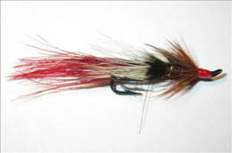 Foxford Shrimp JC