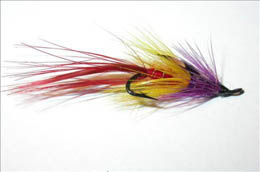 Silver Shrimp JC