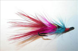 Wilkinson's Shrimp JC
