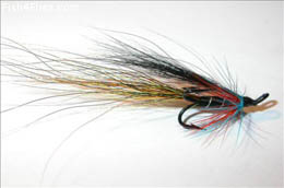 Tummel Shrimp
