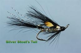 Silver Stoat's Tail JC