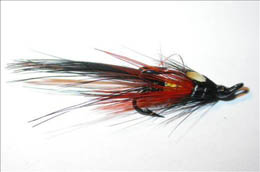 Black Shrimp JC