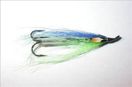 Blue and Lime JC