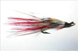 Silver Shrimp JC