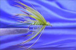 McPhail's Mayfly