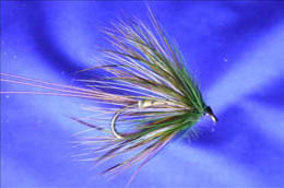 Lough Arrow Olive Mayfly