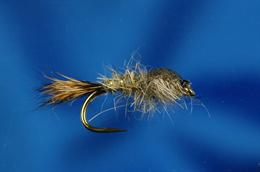 Gold Ribbed Hare's Ear