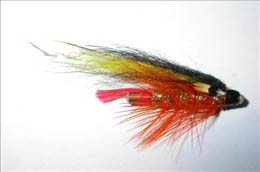 Temple Dog Black n Yellow Copper Tubes