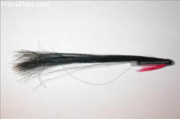 Collie Dog Mini PT's Tubes